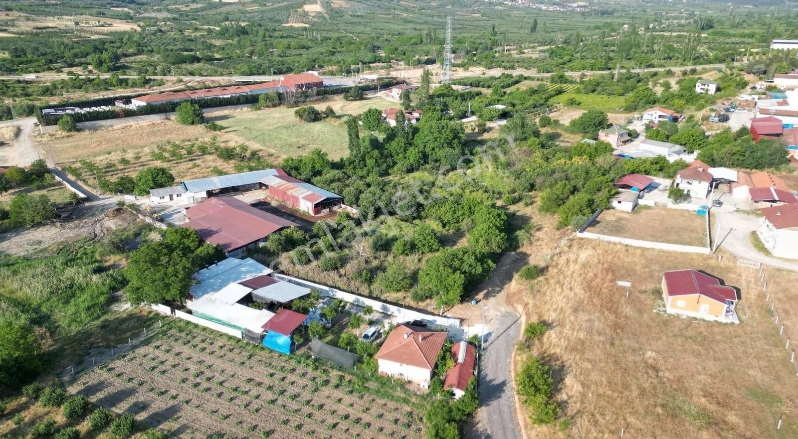 Hazır Kurulu Çiftlik - Görsel 3