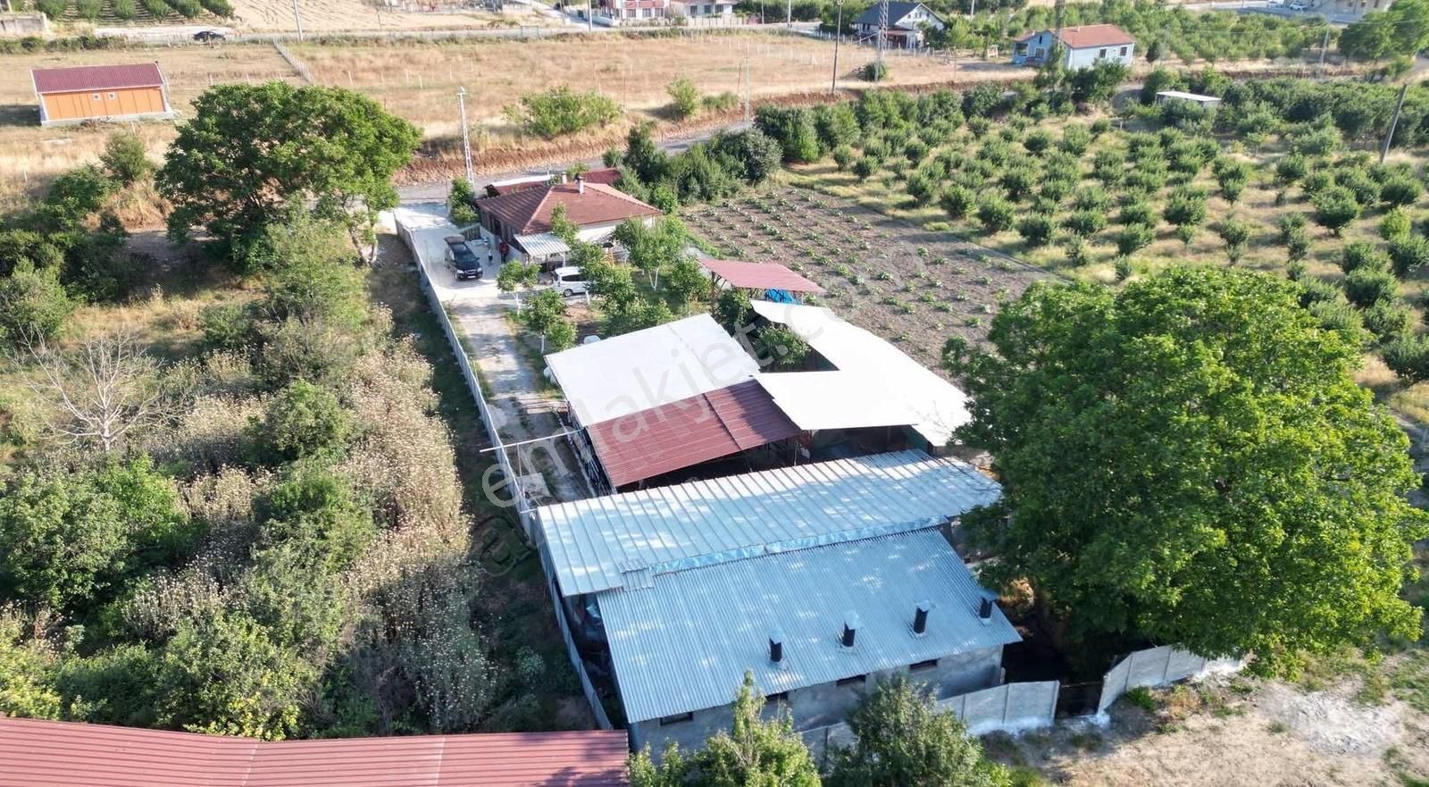 Hazır Kurulu Çiftlik - Görsel 35