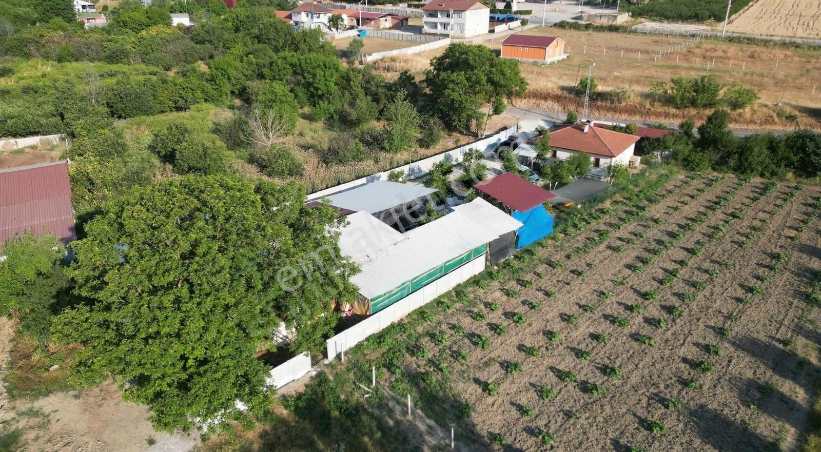 Hazır Kurulu Çiftlik - Görsel 32