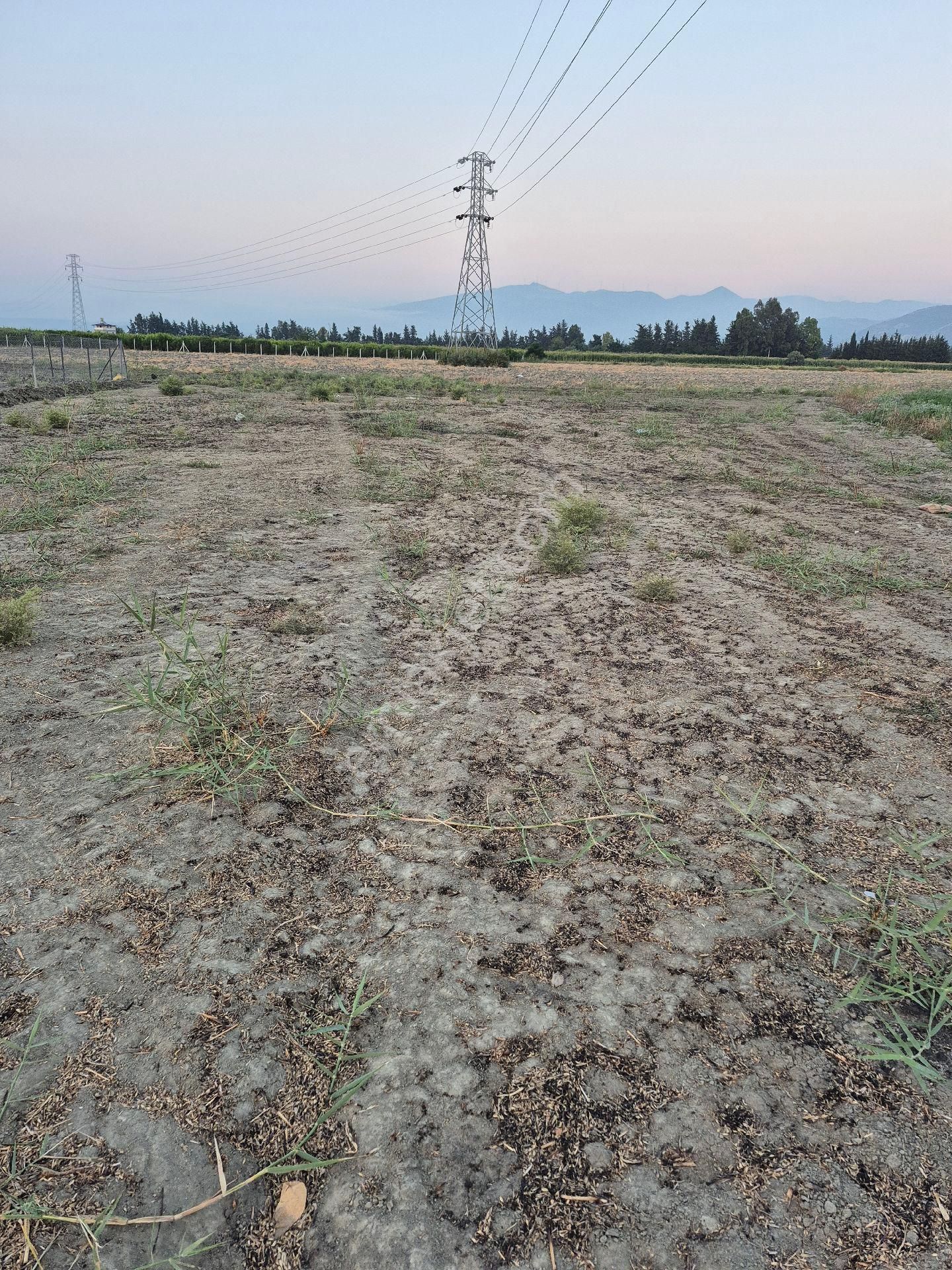 Arsuz Gokmeydan Mahallesi'nde 7 Emin Arkasında Satılık 2 Adet Köşe Başı Parsel
