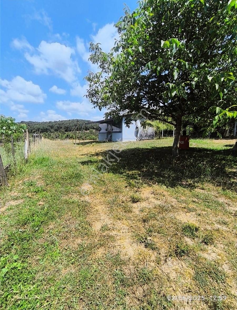 Düzce Çakırlar Mahallesinde Satılık Müstakil Arsa Ve Yapılar