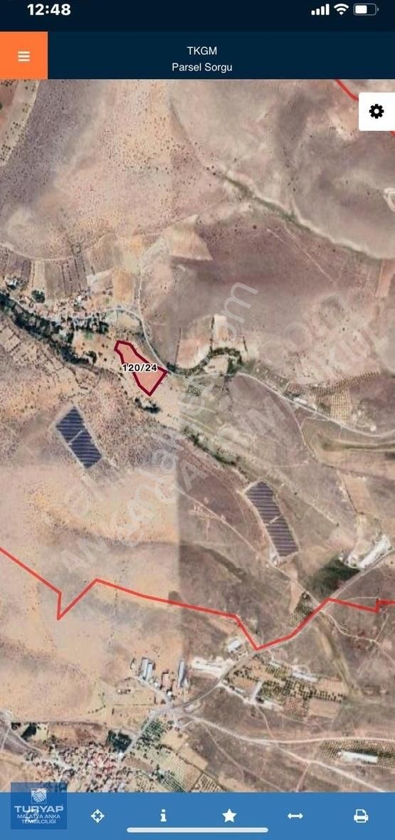 Turyap Anka'dan Akçadağ'da Satılık 15 Dönüm Kayısı Bahçesi