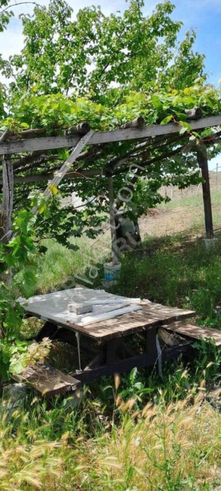 Salmanfakîlîda Satîlîk Hobi Bahçesi