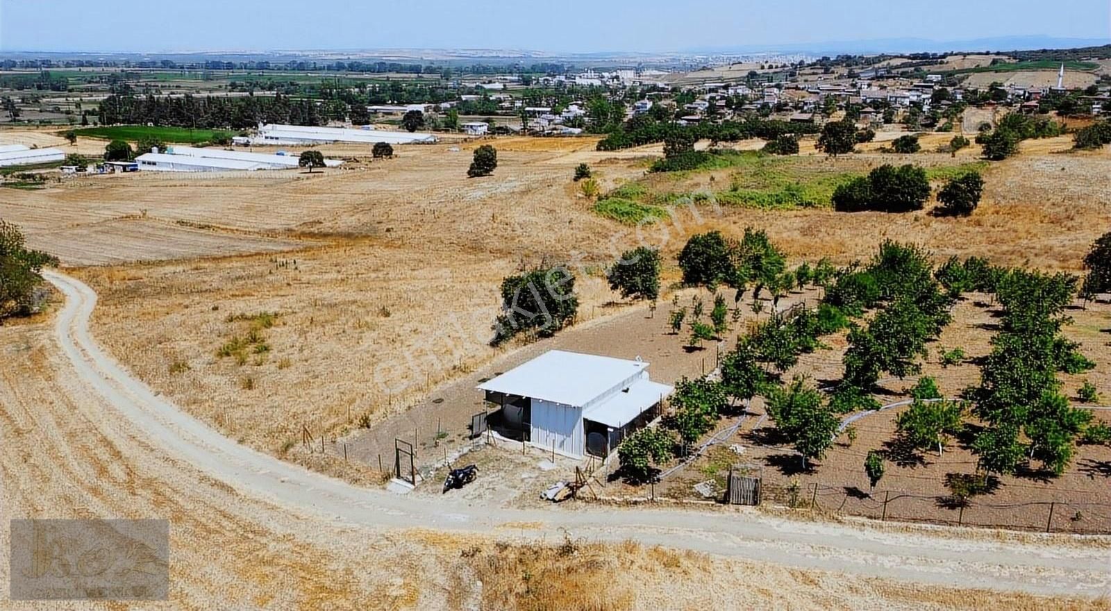 Çanakkale︎biga ︎savaştepe Köyün'de[ Satılık Bağ ]