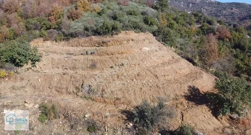 Kelepir Alanya Burçaklarda 2280 M2 Arazi - Görsel 15