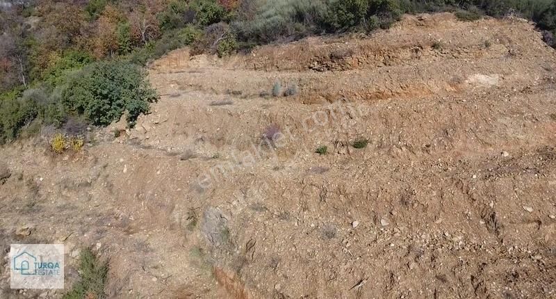 Kelepir Alanya Burçaklarda 2280 M2 Arazi - Görsel 6