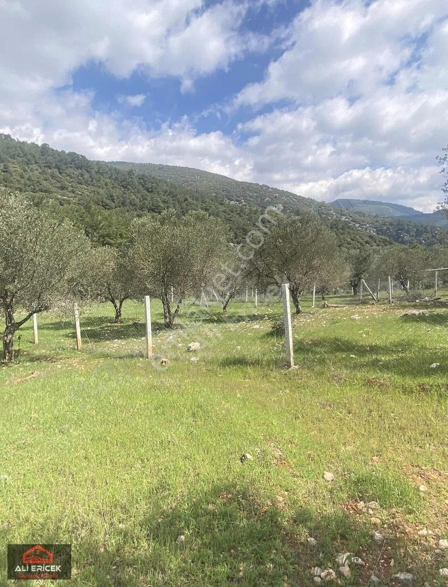 Elektrik Alınabilir Mahalle Konumunda Ulucağa Yakın Bahçe - Görsel 4