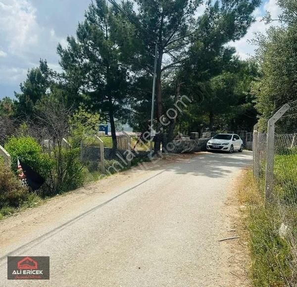 Damlacık Solmaz Mevki Tapuku Kupon Arsa - Görsel 16