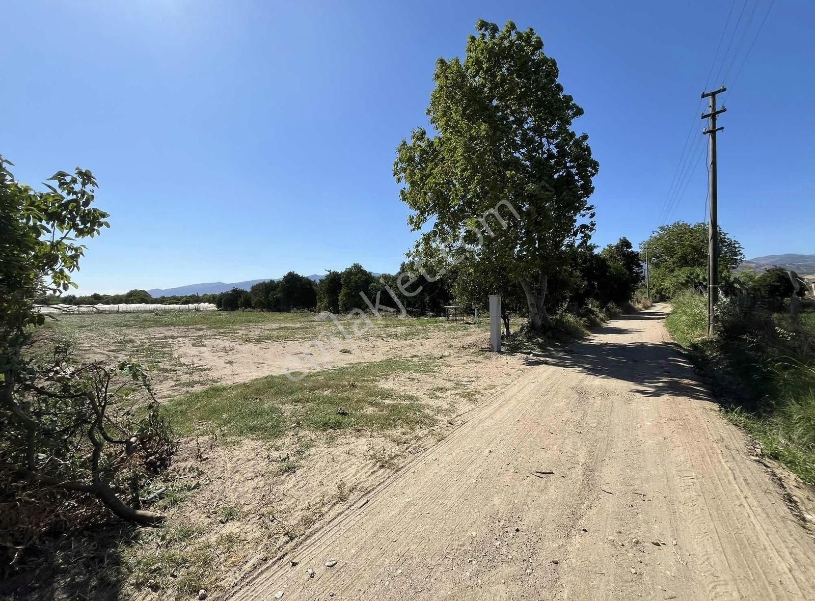 İsabeylide Satılık 1.625 M2 Hobi Bahçesi - Görsel 2
