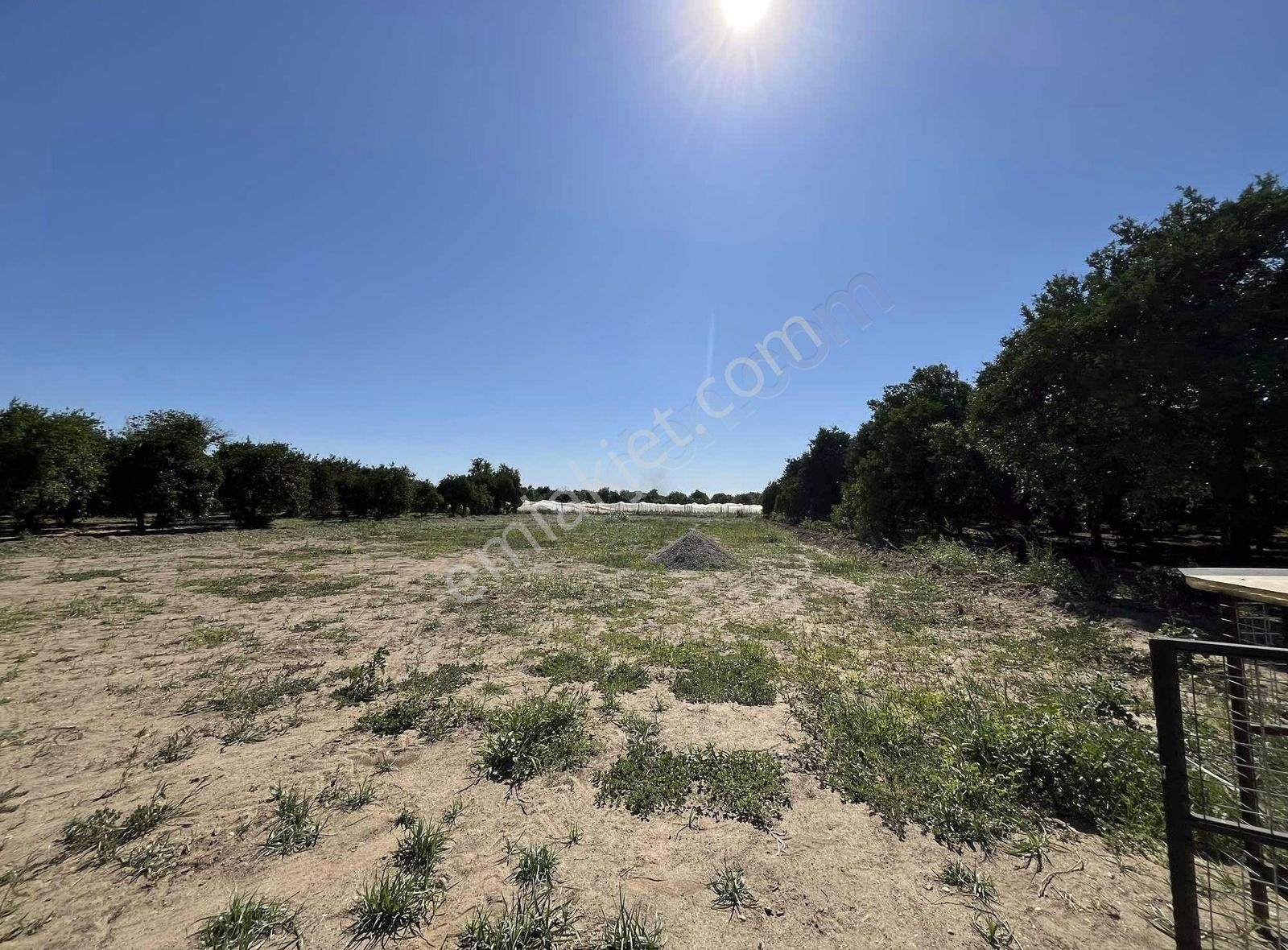İsabeylide Satılık 1.625 M2 Hobi Bahçesi - Görsel 16