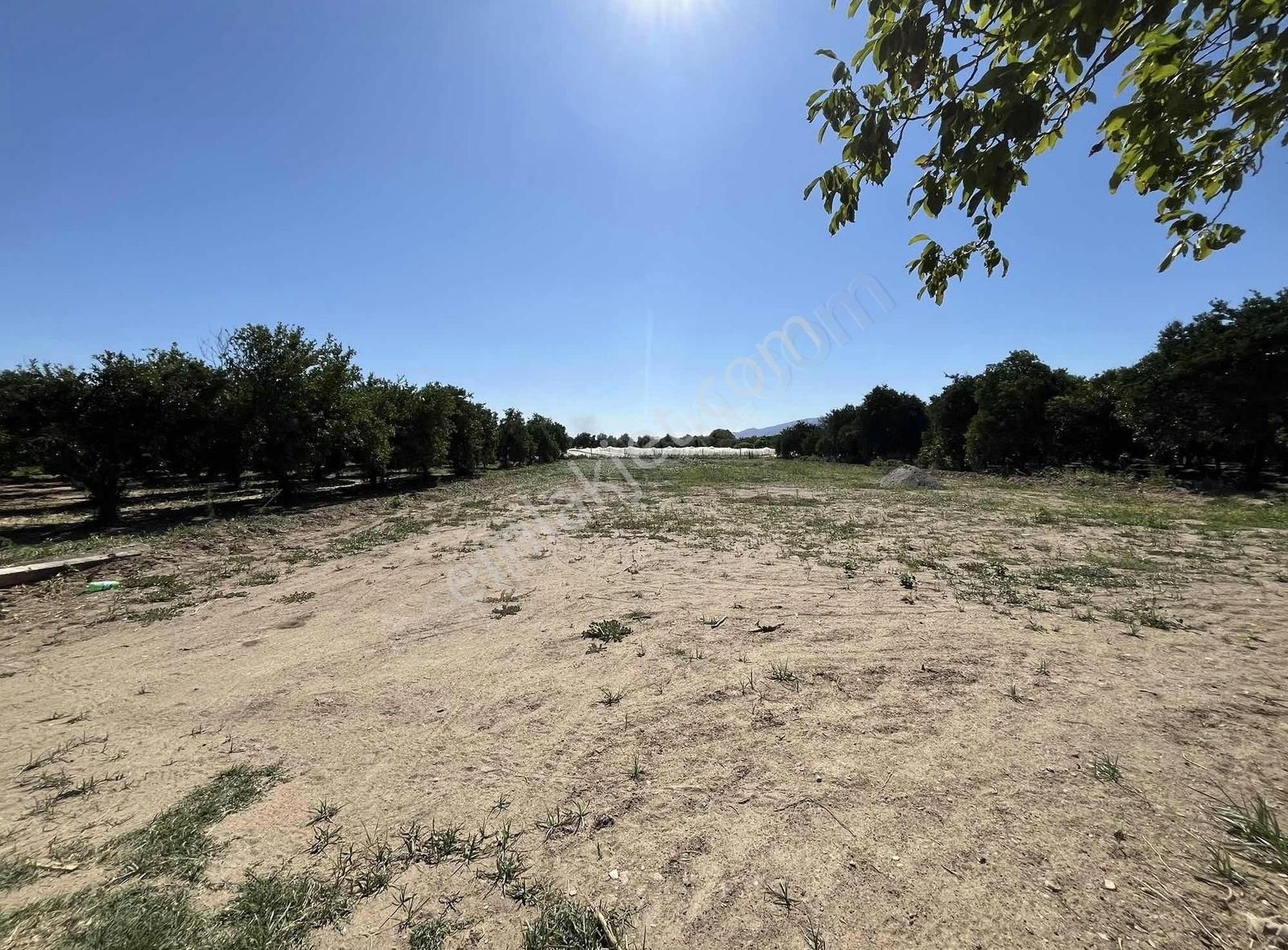 İsabeylide Satılık 1.625 M2 Hobi Bahçesi - Görsel 3