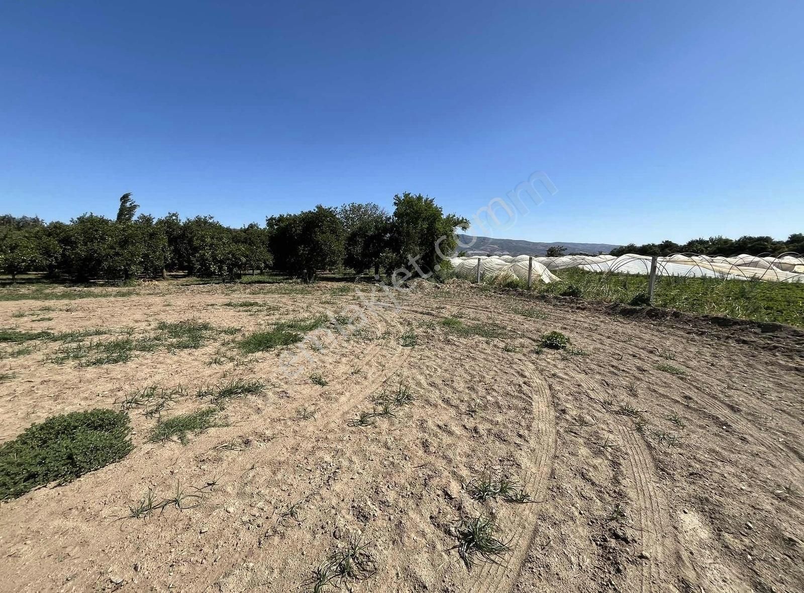 İsabeylide Satılık 1.625 M2 Hobi Bahçesi - Görsel 13
