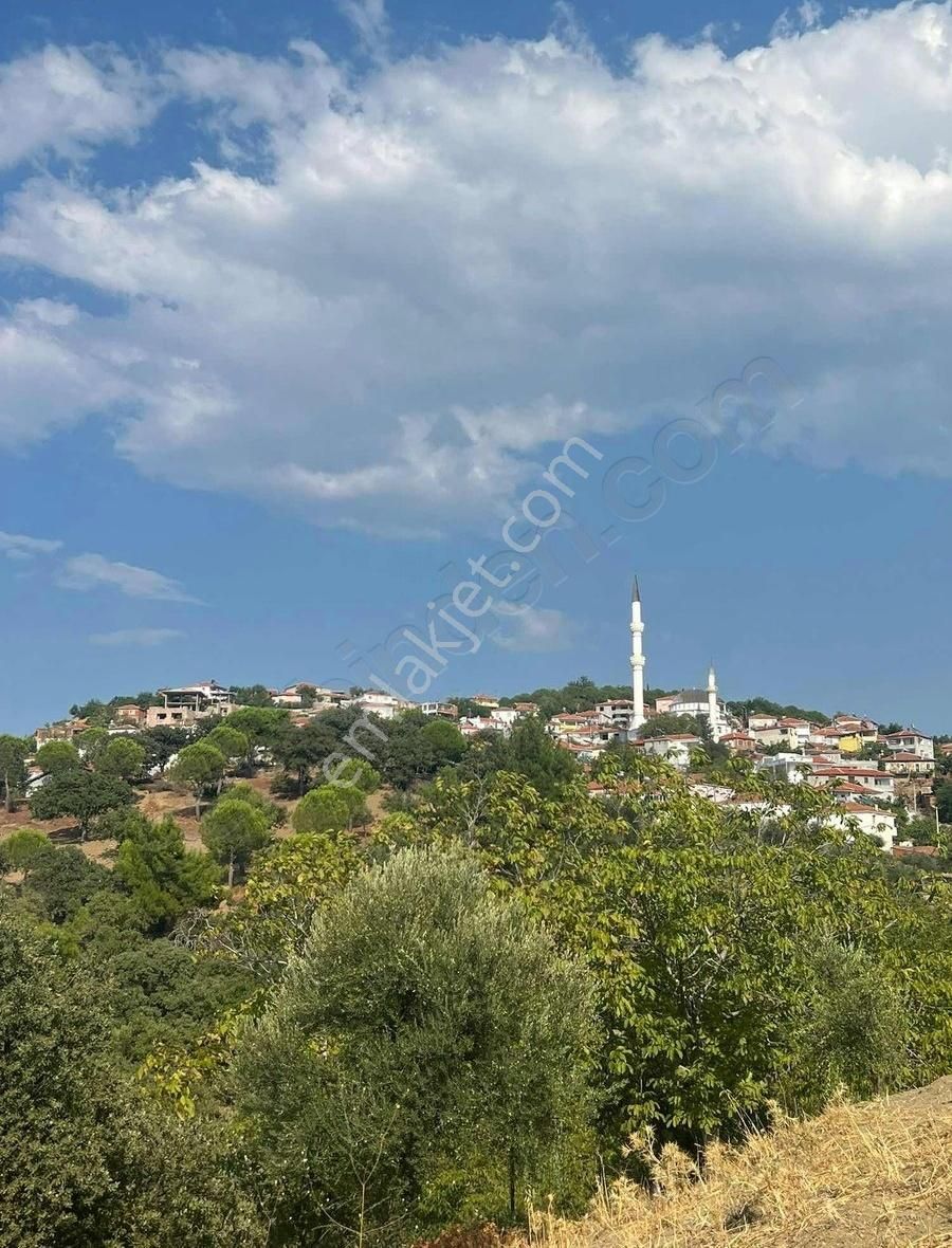 Gömeç Neşe Emlak Tan Hacıhüseyin Lerde Satılık Bahçe - Görsel 4