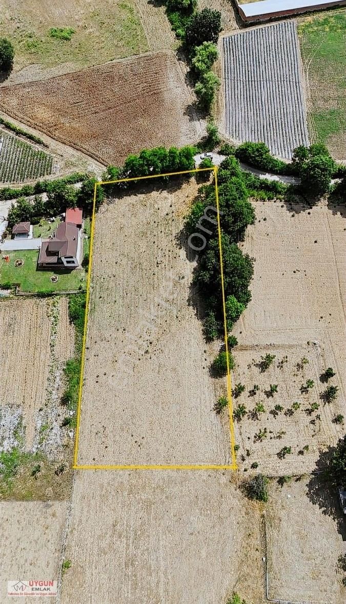 Özlüce Mahallesinde Satılık Resmi Yola Cephe İmara Sıfır Tarla