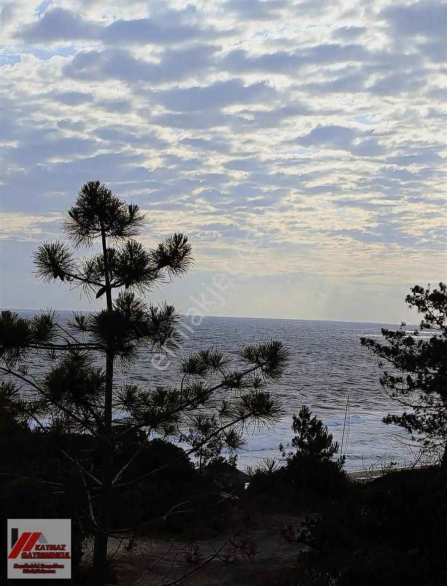 Şile Sahil Kampta Denize 2 Dk Müstakil, Eşyalı Tiny House!! - Görsel 7