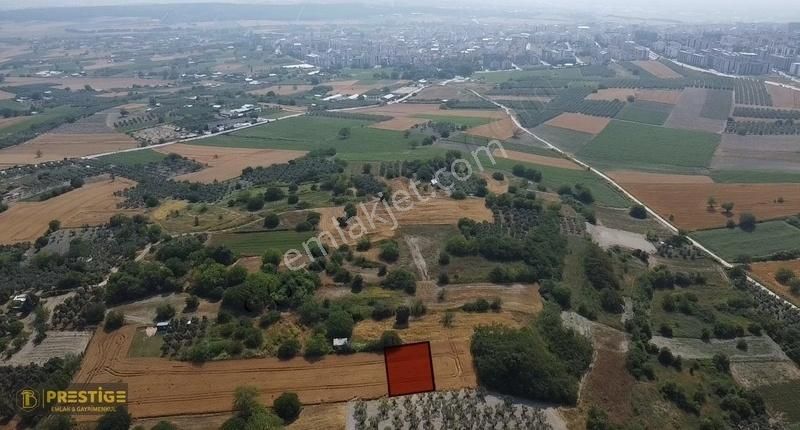 Bt Prestıge'den Fırsat 326m2 İmarın Dibi Hobi Bahcesi