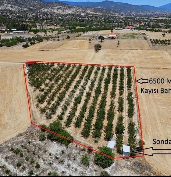 Korkuteli Yeltende 6.500 M2 Bahçe Suabonesi Sondajı Elektriği Vr - Görsel 2