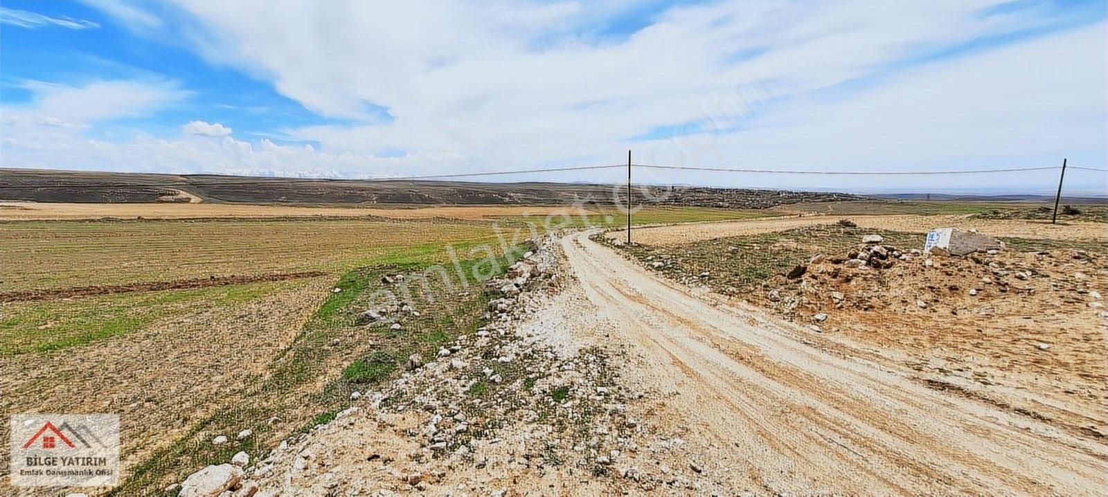 Niğde-bor-gökbez Kemerhisar-havuzlu-postallı Asfalta Sıfır Tarla - Görsel 3
