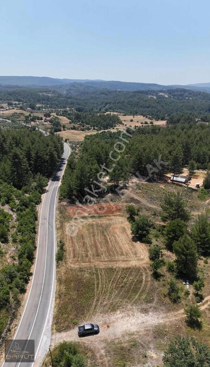 Yerkesikte Asfalt Yol Cepheli Arazi