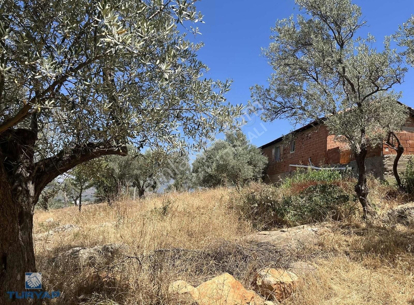 Torbalı Dirmil Mah.3246 M2 Müstakil Parsel Satılık Zeytinlik - Görsel 19