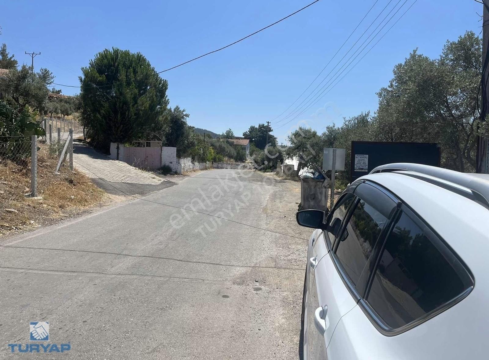 Torbalı Dirmil Mah.3246 M2 Müstakil Parsel Satılık Zeytinlik - Görsel 5