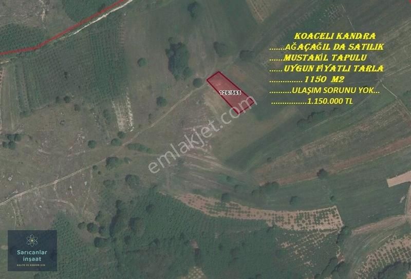 Kandıra Ağaçağılda Satılık Mustakil Tapulu Tarla
