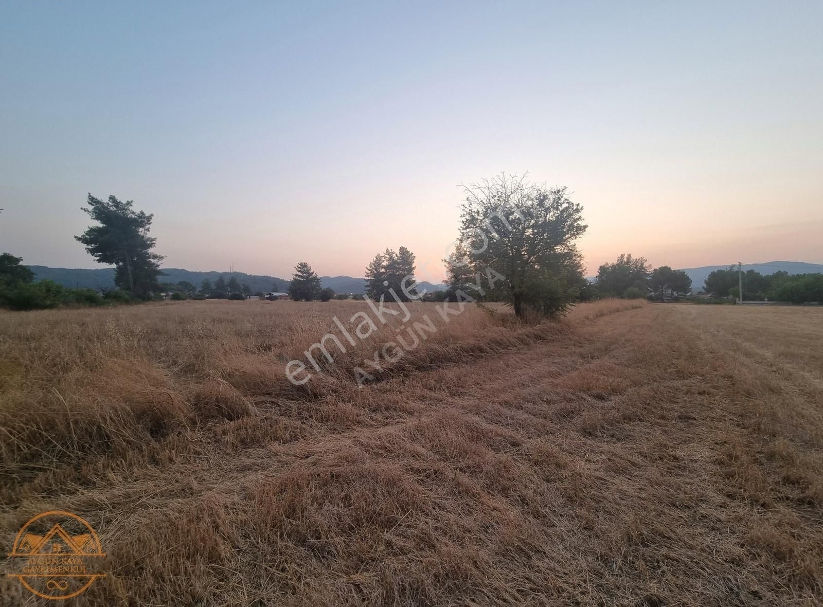 Muğla Ula Karabörtlen Mahallesi'de Satılık Tarla - Görsel 11