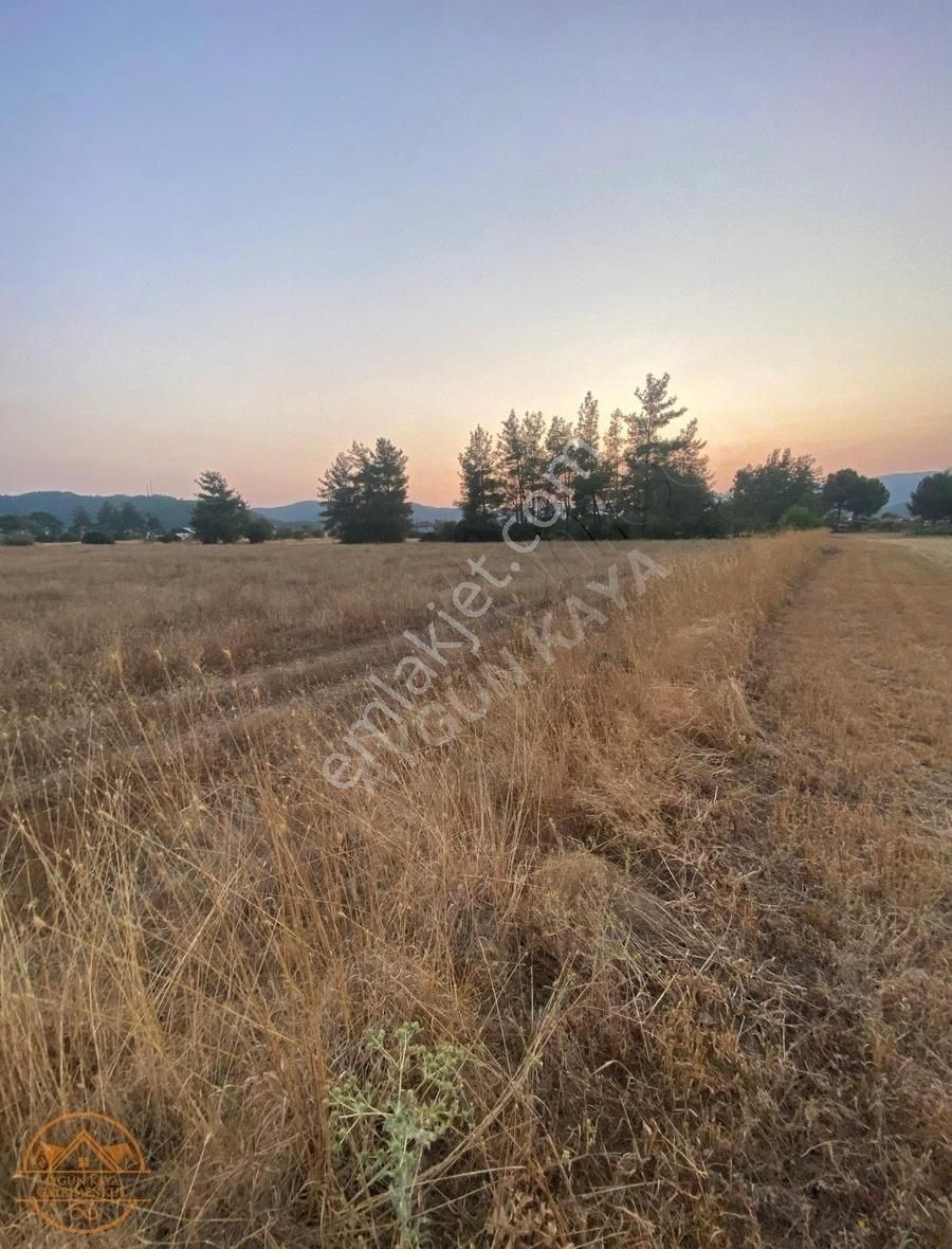 Muğla Ula Karabörtlen Mahallesi'de Satılık Tarla - Görsel 4