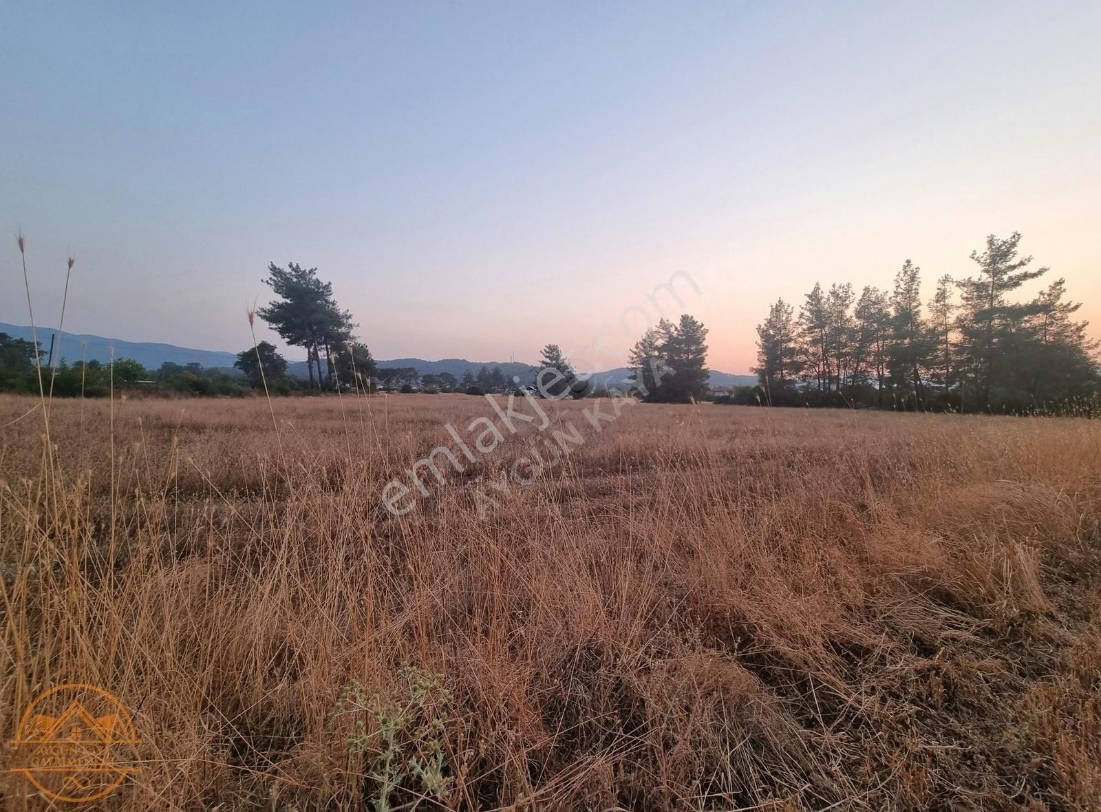 Muğla Ula Karabörtlen Mahallesi'de Satılık Tarla - Görsel 12