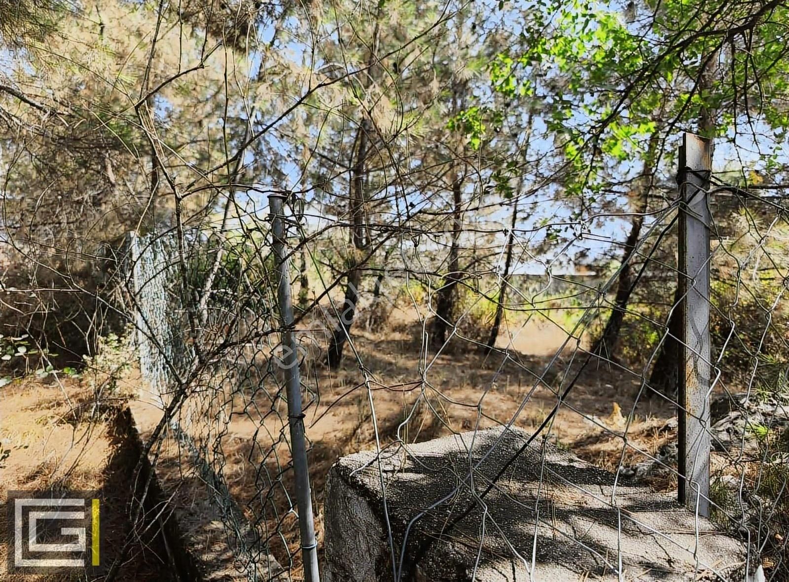 Dalaman Şerefler Karadere De %20 İmarlı Doğa İçinde Satılık Arsa - Görsel 6