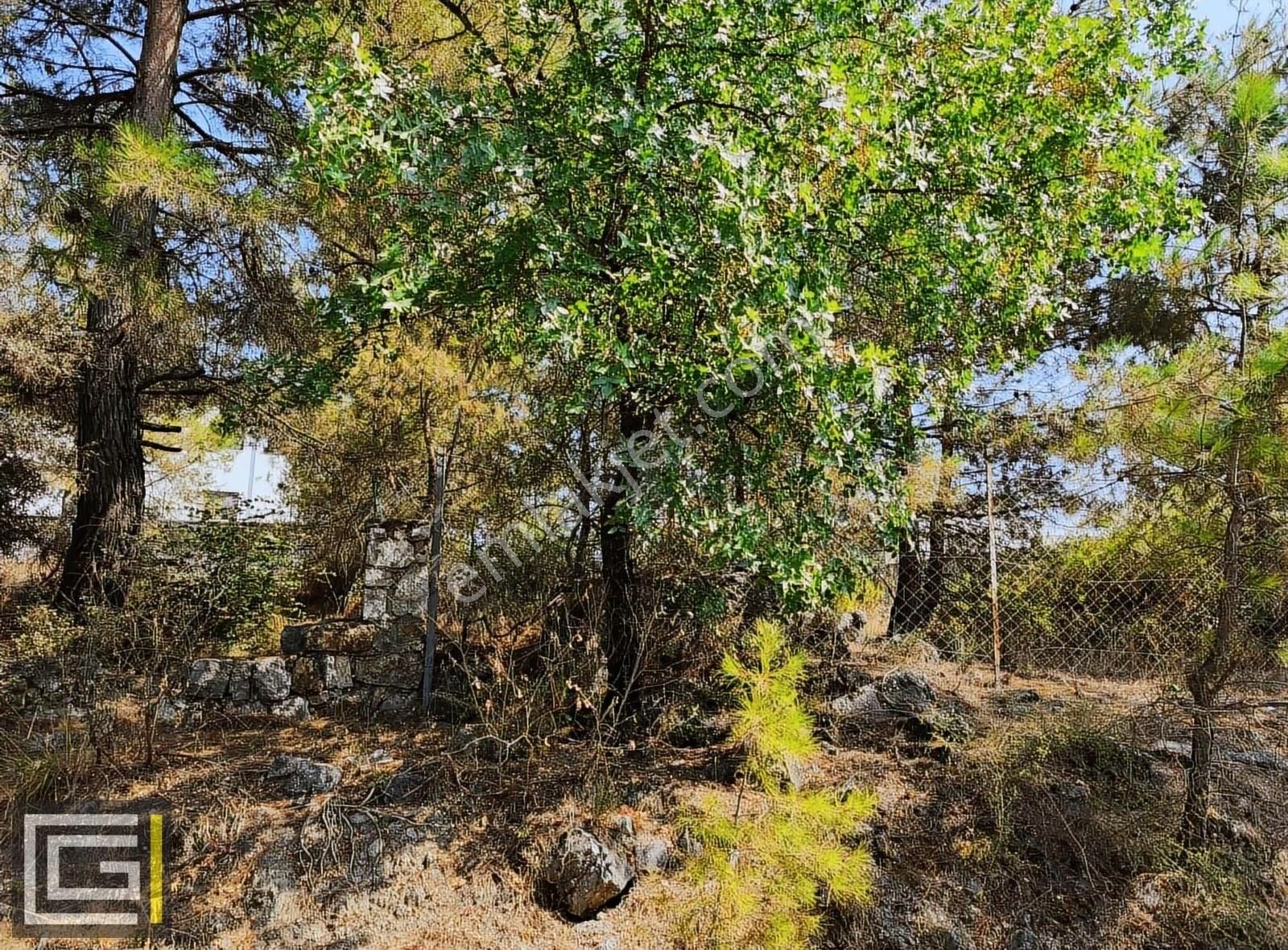 Dalaman Şerefler Karadere De %20 İmarlı Doğa İçinde Satılık Arsa - Görsel 3