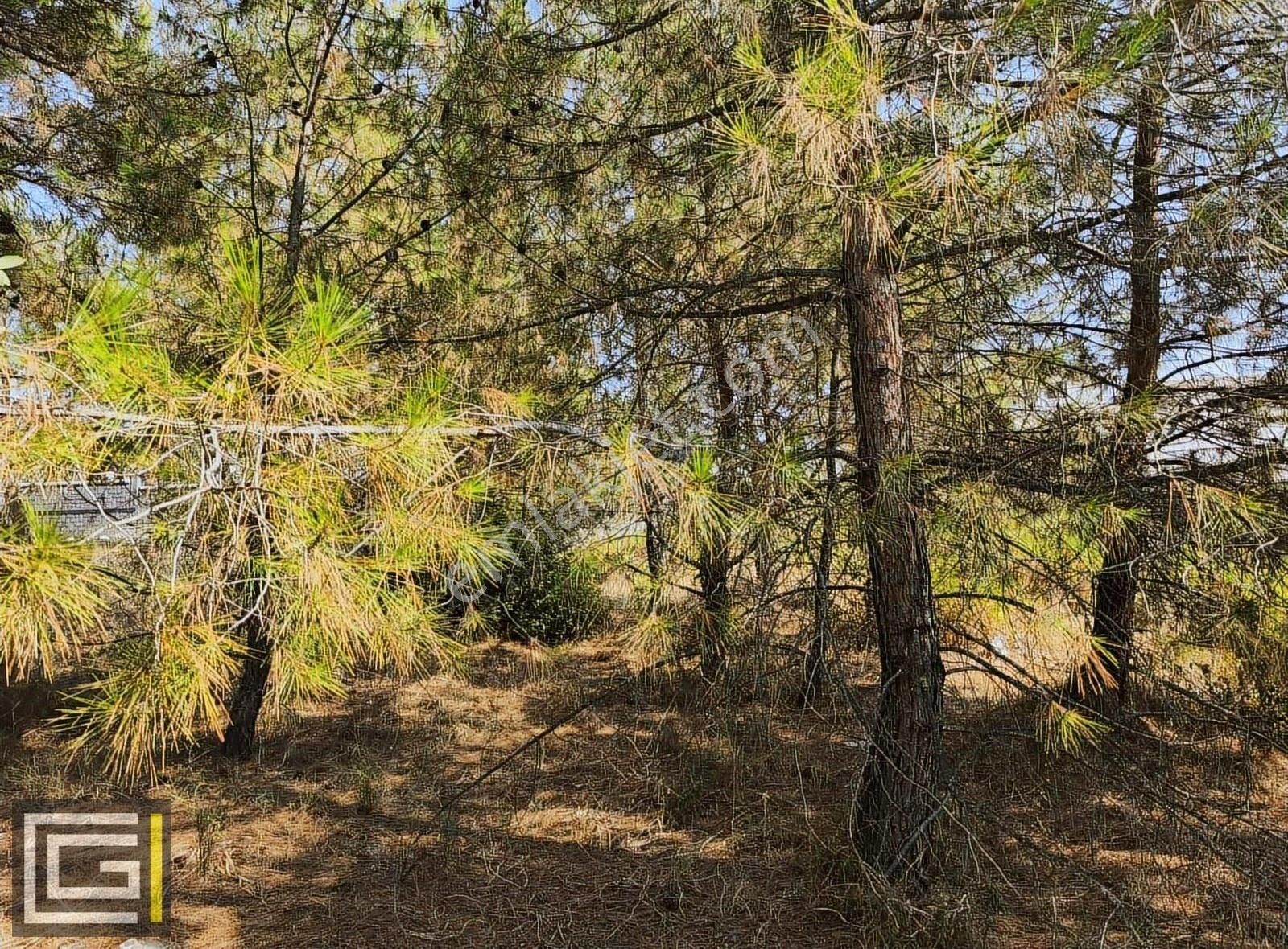 Dalaman Şerefler Karadere De %20 İmarlı Doğa İçinde Satılık Arsa - Görsel 4
