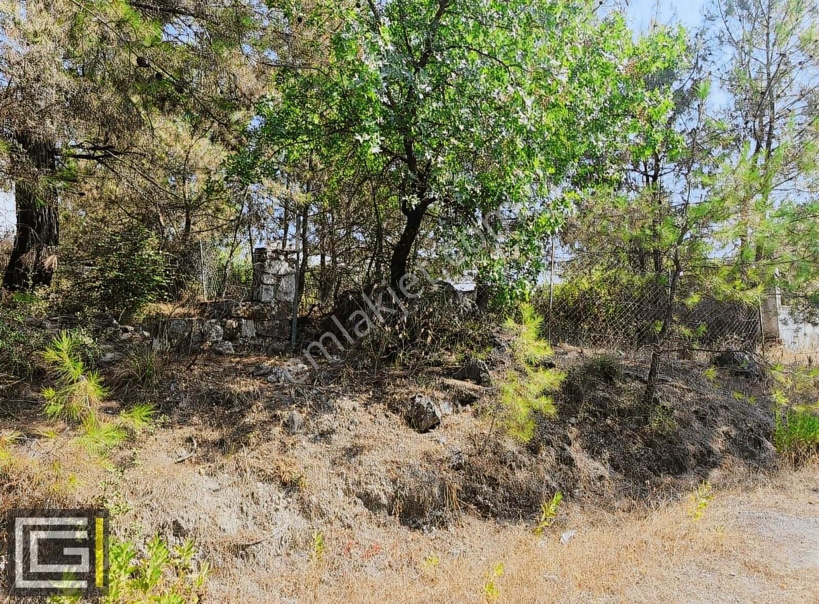 Dalaman Şerefler Karadere De %20 İmarlı Doğa İçinde Satılık Arsa - Görsel 9