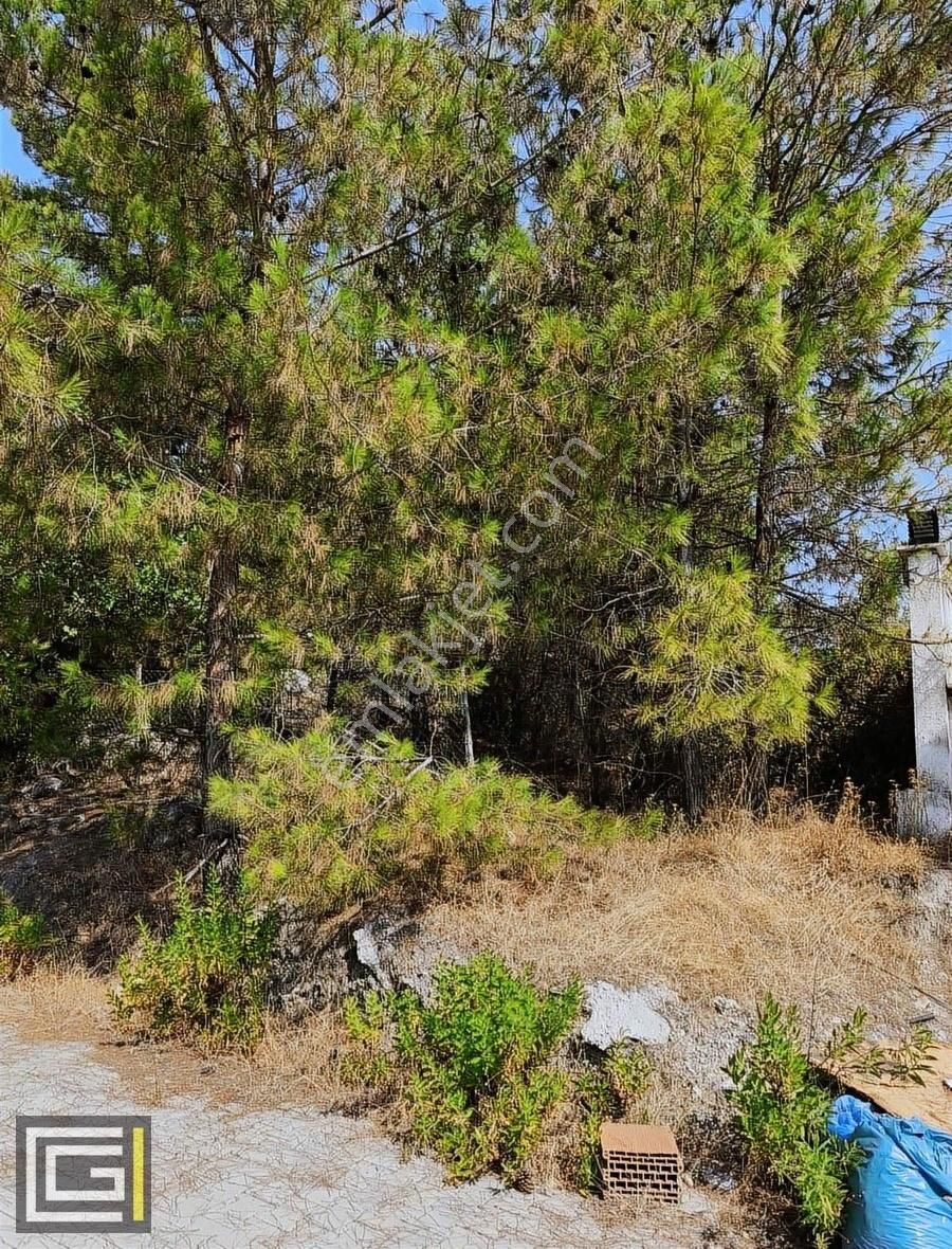 Dalaman Şerefler Karadere De %20 İmarlı Doğa İçinde Satılık Arsa - Görsel 2