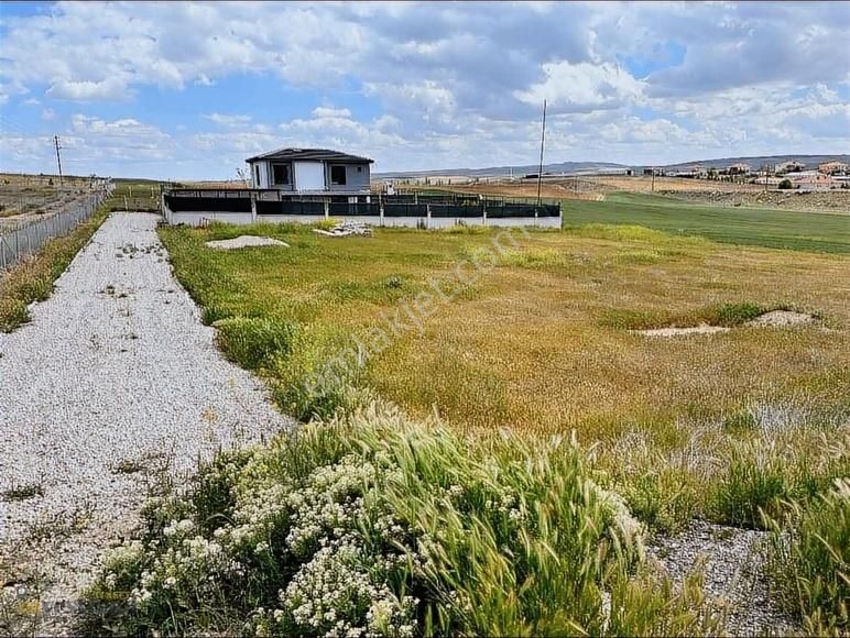 Hacıtuğrul'da Köşe Villa Parseli ( Araç Takaslı ) - Görsel 7