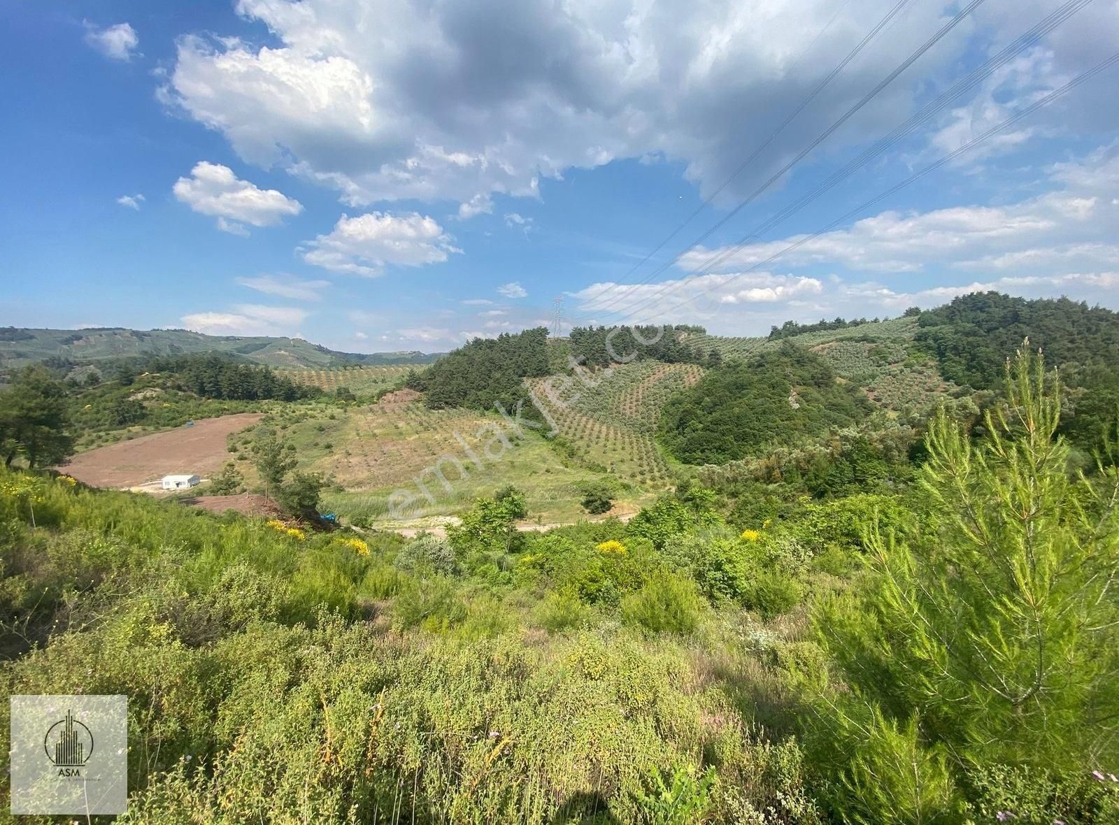 Asm'den Selçukgazi'de Ev Yapımına Uygun Satılık Arazi