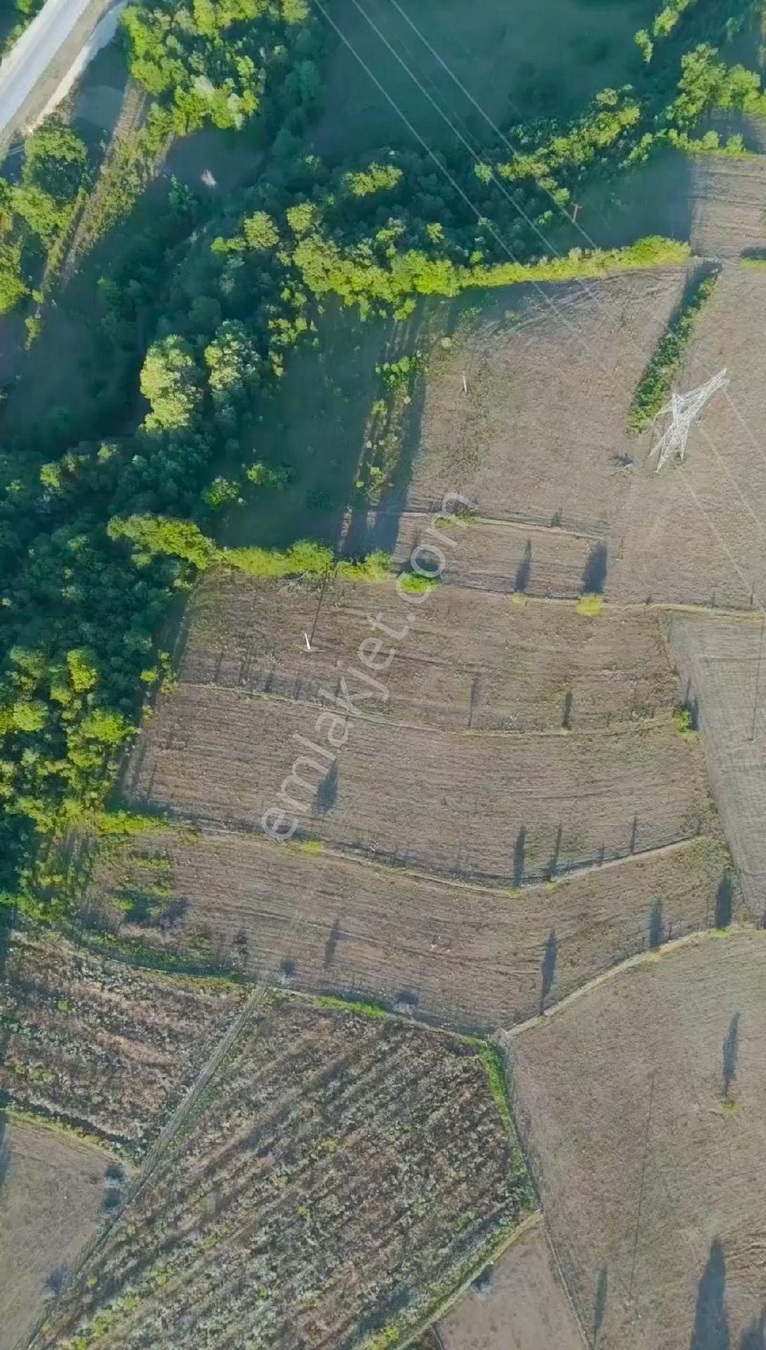 Evim-nur'dan Kavak Ortaköy Mh 5.115m2 Yola Cephe Kaçırılmayacak Fırsat Tarla - Görsel 9