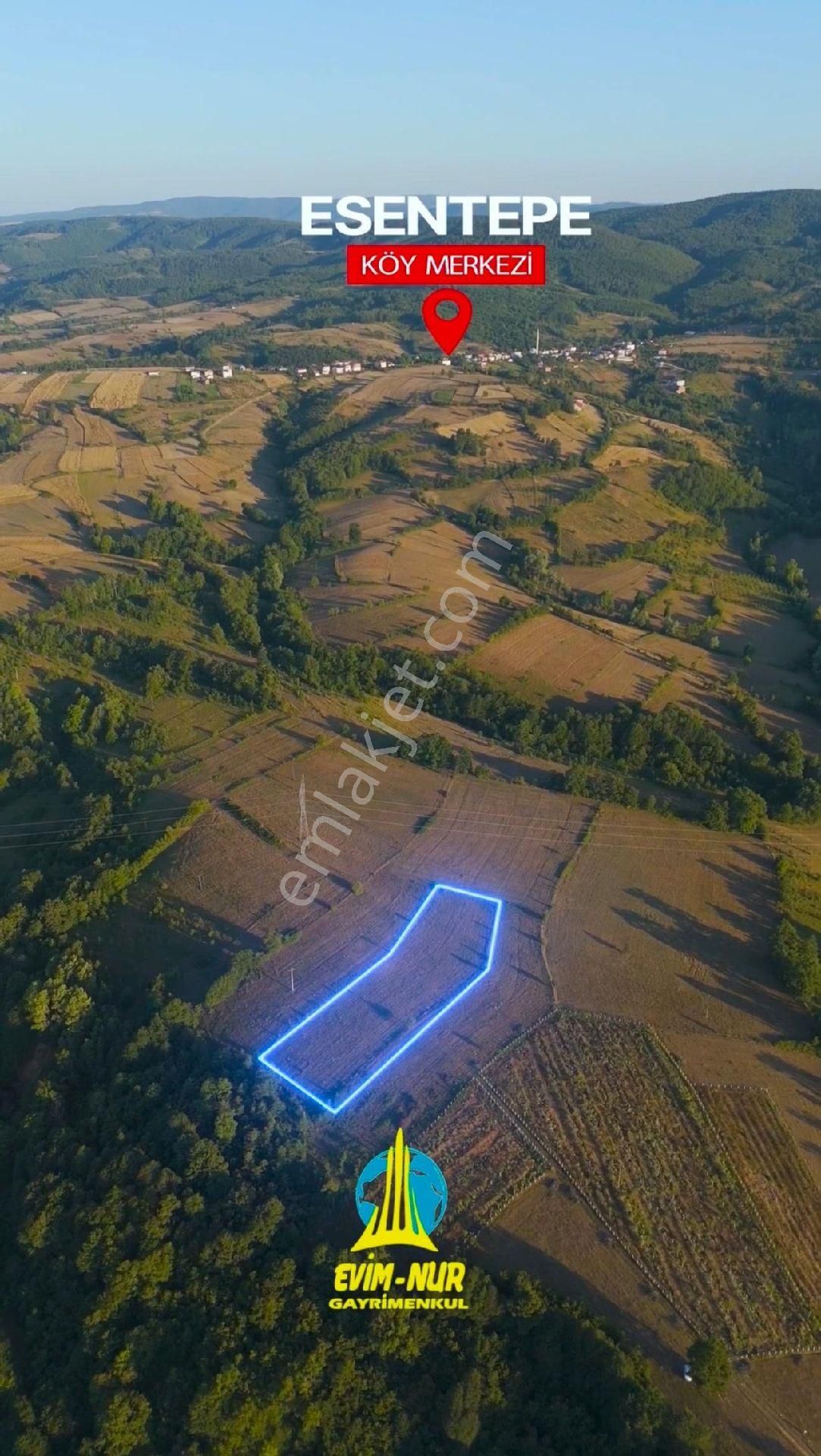 Evim-nur'dan Kavak Ortaköy Mh 5.115m2 Yola Cephe Kaçırılmayacak Fırsat Tarla - Görsel 2