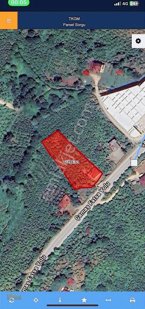 Ordu-fatsa Meşebükü Mah . Fırın Market Mevkisinde Kiralık Arsa - Görsel 8