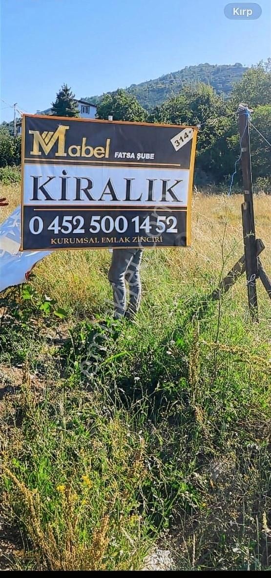Ordu-fatsa Bahçeler Mah . Kömbeşoğlu Mevkisinde Kiralık Arsa - Görsel 5
