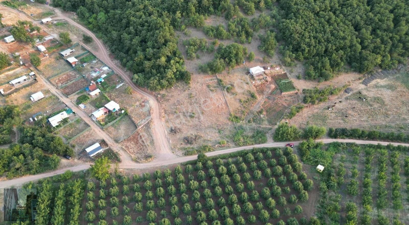 Kestel Erdoğan Köyde Yatırımlık Arazi