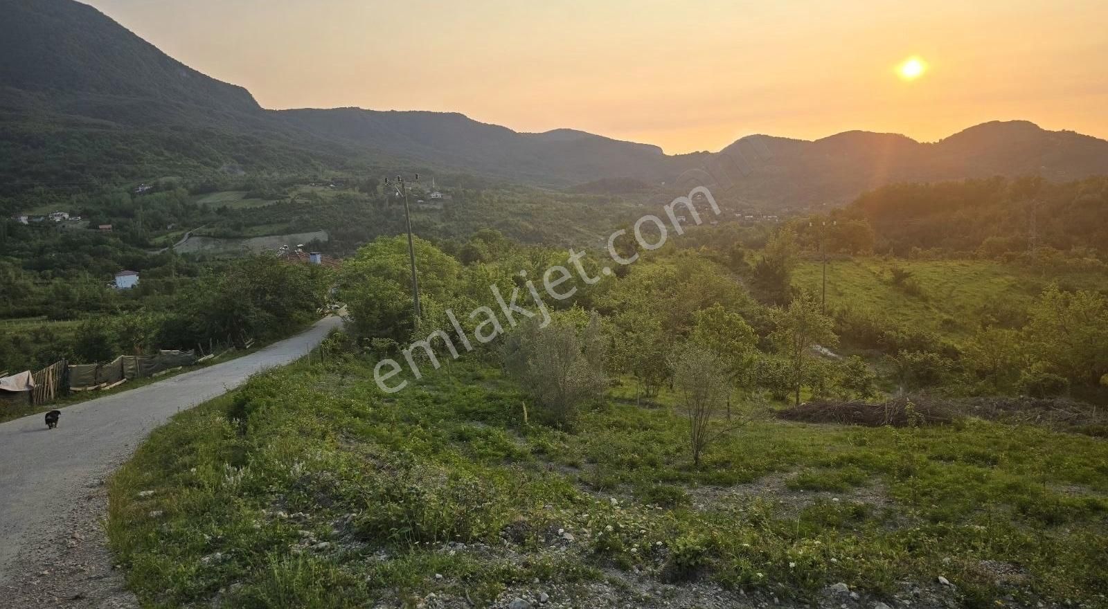 Cide İlkim Emlak'tan Konut İmarlı Satılık Arsa