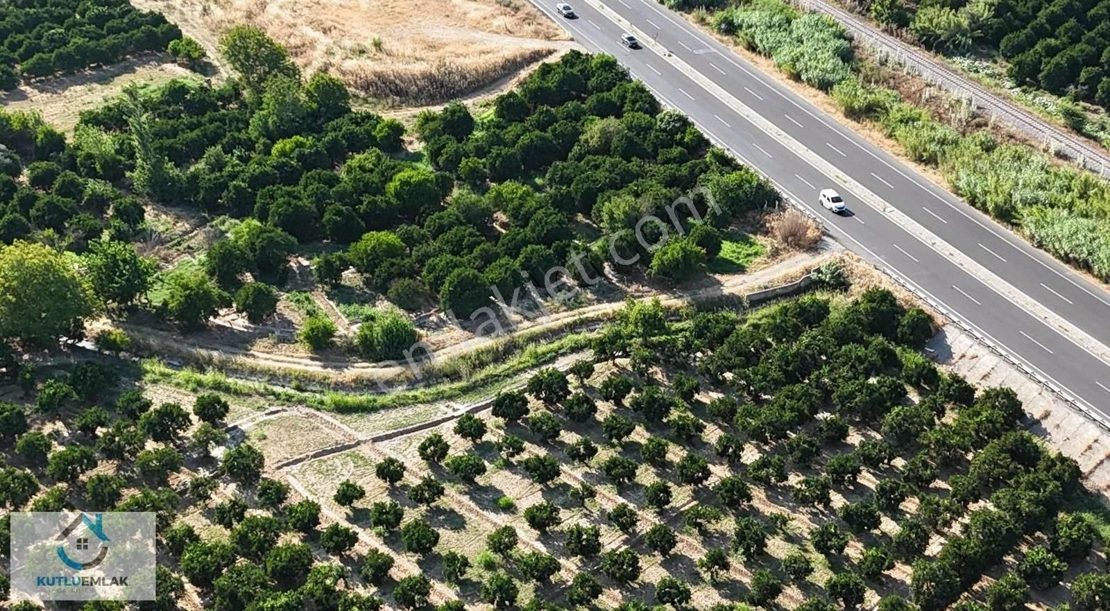 Yatırımlık Portakal Bahçesi - Görsel 11