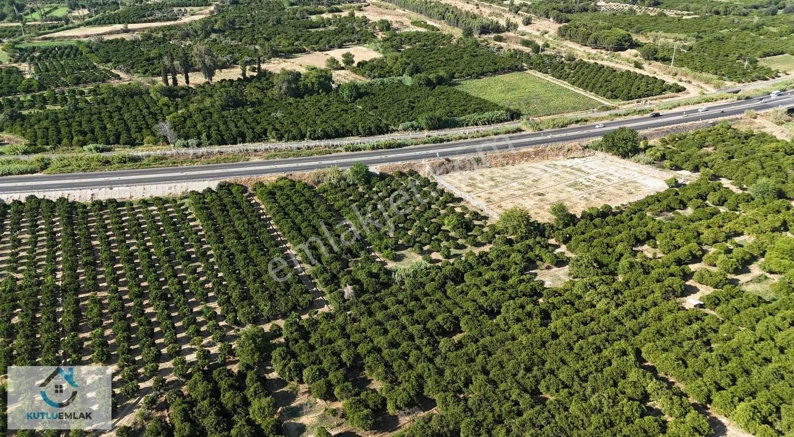 Yatırımlık Portakal Bahçesi - Görsel 10