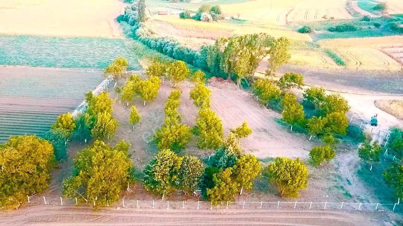 Silivri Sançaktepe Satılık Araç Takaslı 5450 M Mükemmel Yatırımlık Tarla - Görsel 9