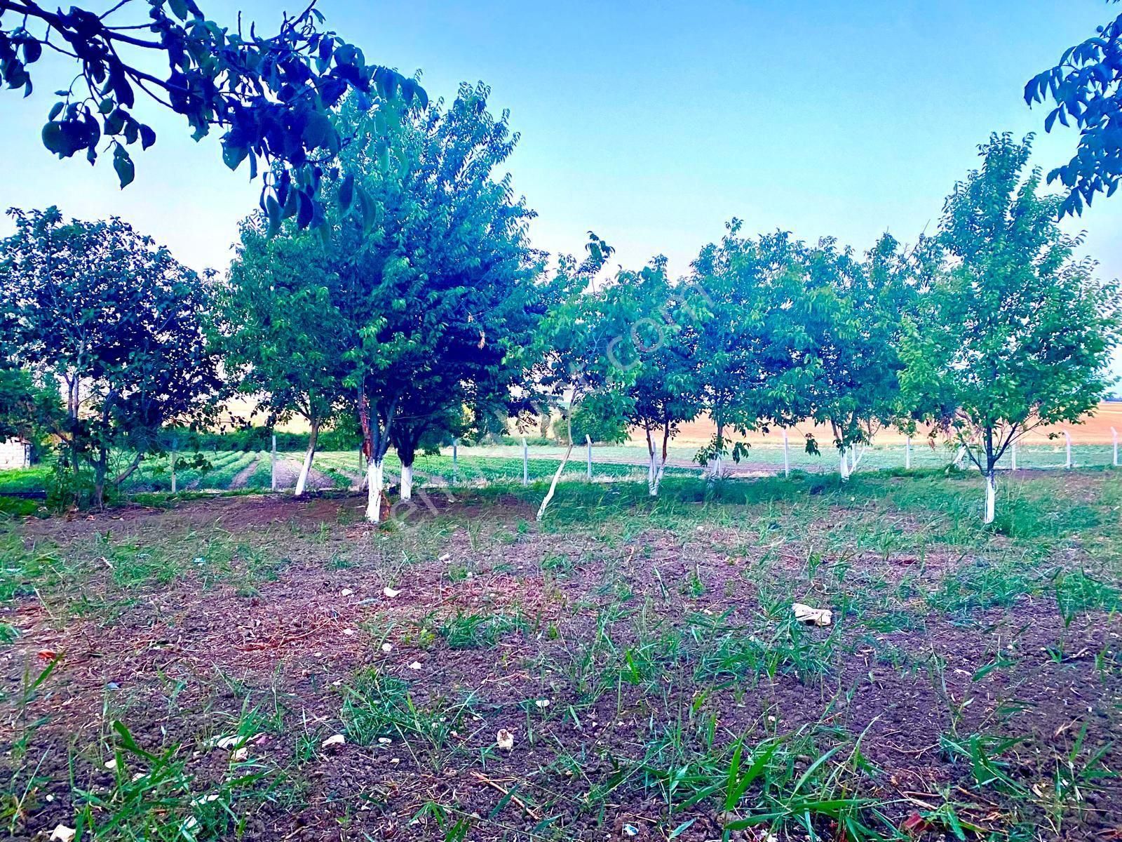 Silivri Sançaktepe Satılık Araç Takaslı 5450 M Mükemmel Yatırımlık Tarla - Görsel 3