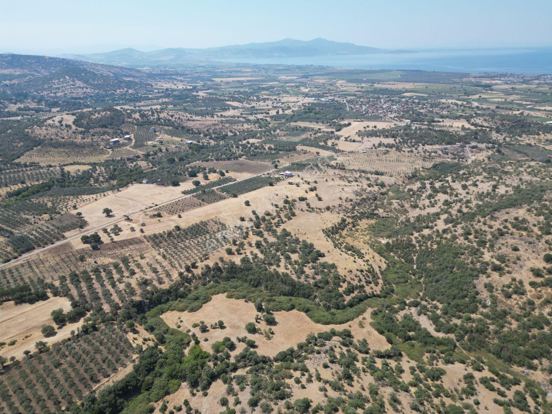Cb.route'dan, Dikili Kıratlıda Satılık 22 Dönüm Tarla - Görsel 23
