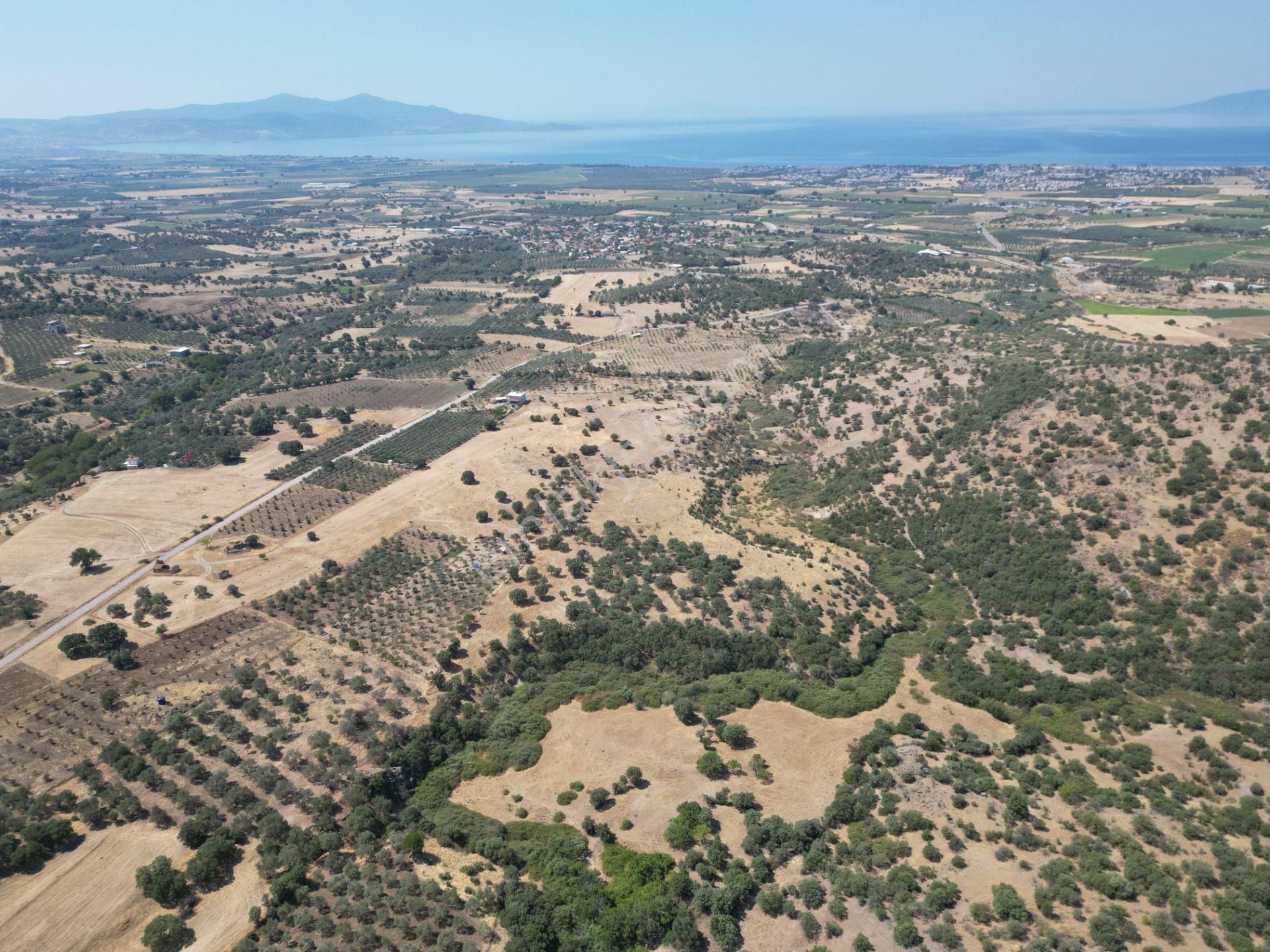 Cb.route'dan, Dikili Kıratlıda Satılık 22 Dönüm Tarla - Görsel 4