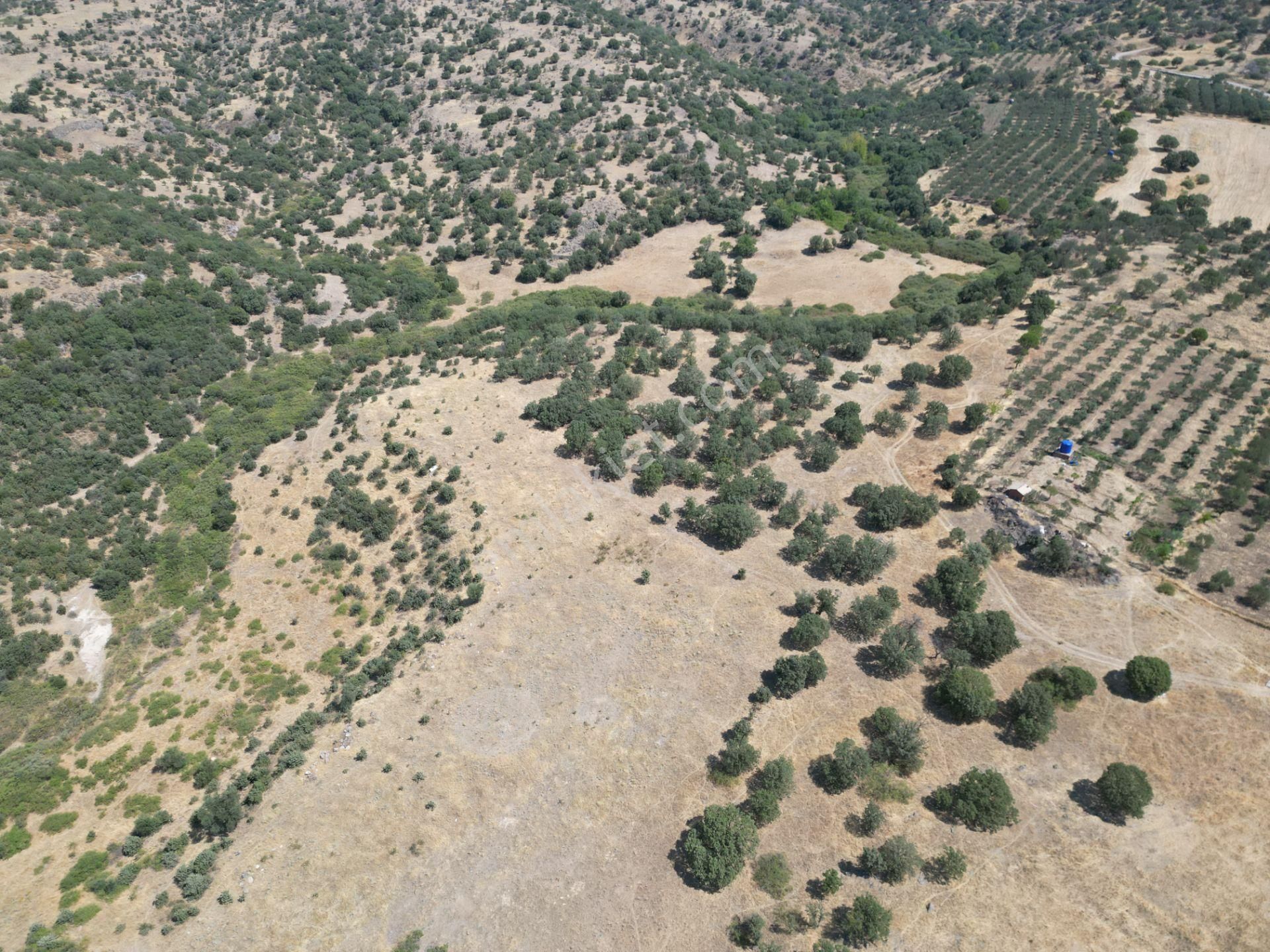 Cb.route'dan, Dikili Kıratlıda Satılık 22 Dönüm Tarla - Görsel 10