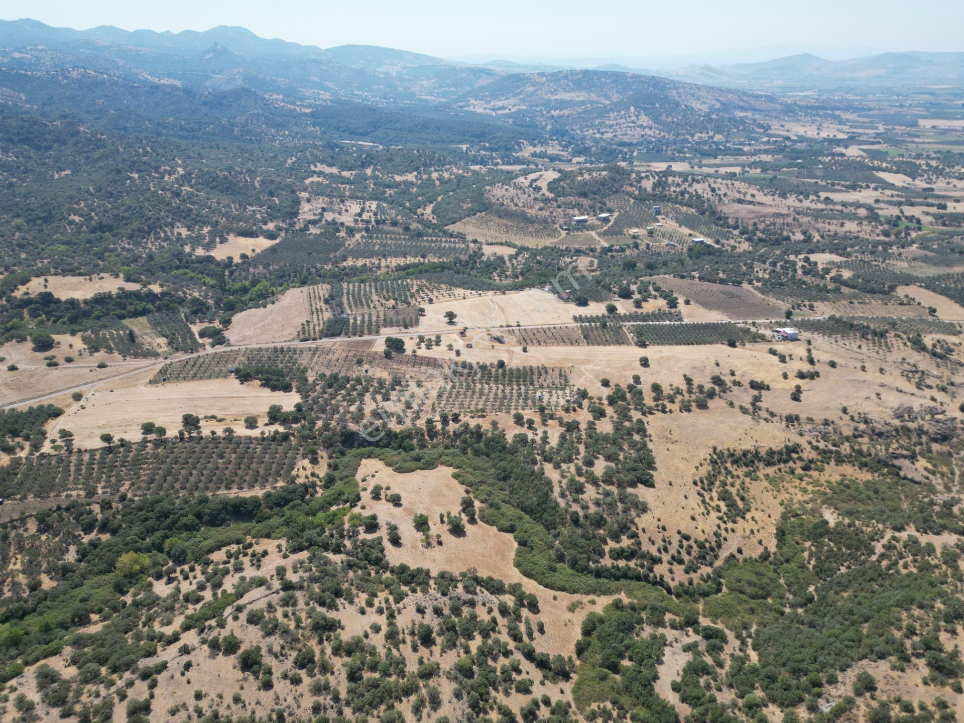 Cb.route'dan, Dikili Kıratlıda Satılık 22 Dönüm Tarla - Görsel 19